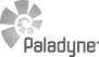 Paladyne Systems black and white logo