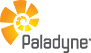 Paladyne Systems color logo
